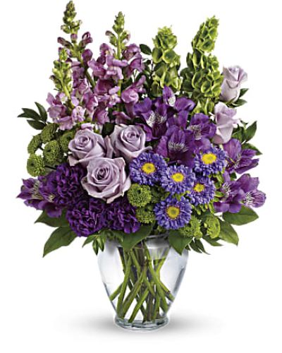 <div id="mark-3" class="m-pdp-tabs-marketing-description">Charmed, I'm sure! Win their hearts with this winsome bouquet of luxurious lavender blooms and delightful bells of Ireland, hand-delivered in a graceful glass vase.</div>
<p> </p>
<div id="desc-3">
<ul>
<li>This lovely bouquet features lavender roses, purple alstroemeria, purple carnations, lavender matsumoto asters, green button spray chrysanthemums, lavender snapdragons, bells of Ireland, huckleberry and lemon leaf.</li>
<li>Delivered in a clear glass vase.<br />
<hr />
</li>
</ul>
</div>